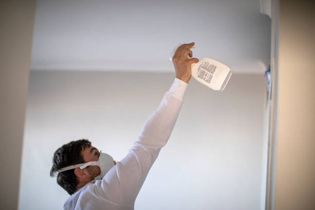 Best Affordable Mold Removal  in Battle Ground, IN
