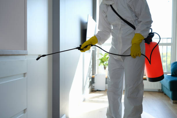 Best Toxic Mold Removal  in Battle Ground, IN