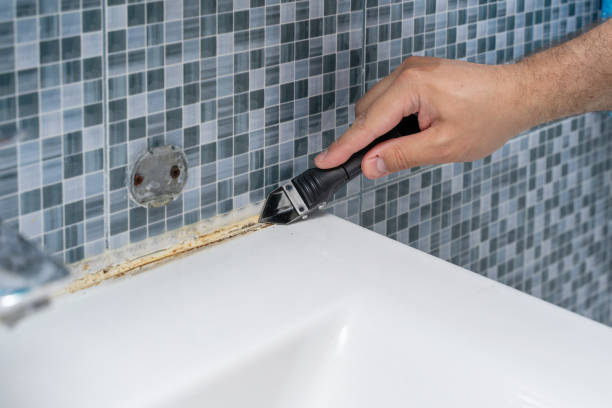 Best Black Mold Removal  in Battle Ground, IN